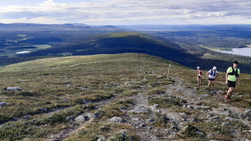 TOP 4 erilaista mäkitreeniä polkujuoksuun – näitä ominaisuuksia voit kehittää mäkivedoilla