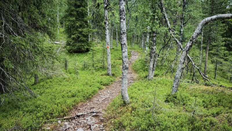 Kehity näillä vinkeillä – maastopyöräilyn tekniikkaharjoituksia noviiseista kokeneille